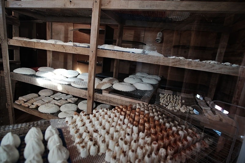 Гастрономическое путешествие в сердце русской провинции: чай из самовара, сыроварня и ужины на винодельне 6