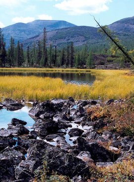 🐟 Тайны Байкала: что скрывают глубины самого чистого озера в мире 32
