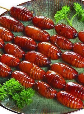 Именно так называются тушки шелкопрядов, которые пользуются спросом в качестве вкусной и питательной закуски