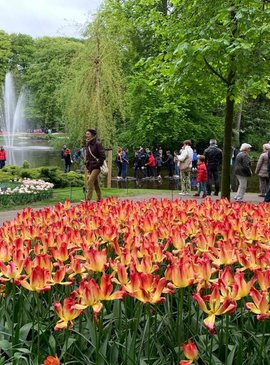🌷 Фестиваль тюльпанов в Нидерландах — наш спецрепортаж 66