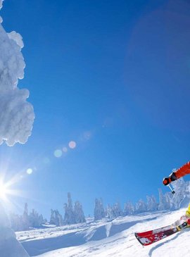 ⛷ Где покататься на лыжах в Сочи: нюансы выбора курорта и особенности трасс 2