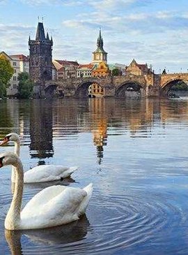 ⛪️ Прага на Влтаве: путешествие в столицу Чехии 5