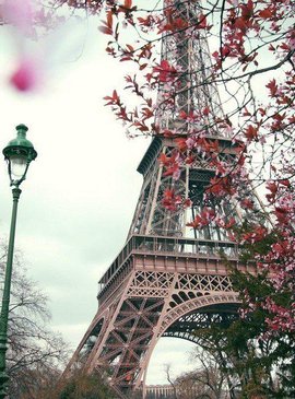 🎠 Париж — всегда ли сказка? Опасности города влюблённых 1