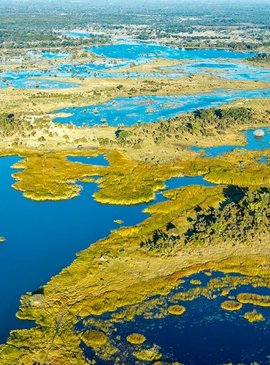 🔦 Васюганское болото: вся правда о самом загадочном месте Томской области 2