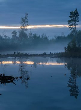 🔦 Васюганское болото: вся правда о самом загадочном месте Томской области 4