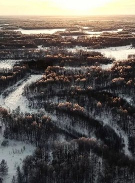 🔦 Васюганское болото: вся правда о самом загадочном месте Томской области 3