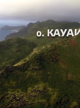 Секреты самого потрясающего места на Земле - отправляемся на Гавайи 1