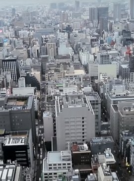 Современный Токио - экскурсия по популярным местам 1