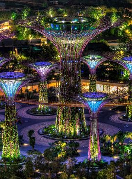 Сингапур - невероятный город-сад 1