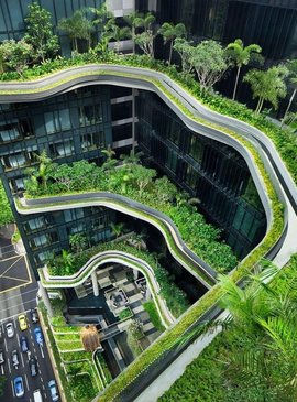Сингапур - невероятный город-сад 10