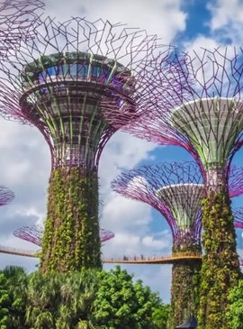 Сингапур - невероятный город-сад 12