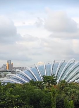 Сингапур - невероятный город-сад 17