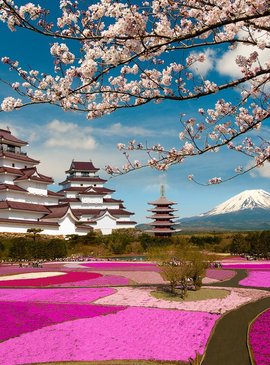 Япония — красивая и удивительная страна  Фото:  wallbox.ru