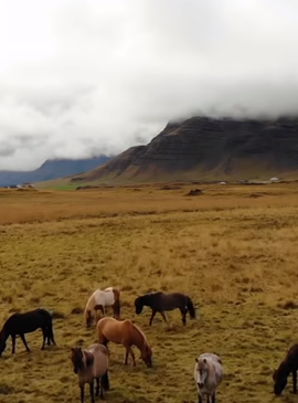 Исландия – страна льдов на краю света 7