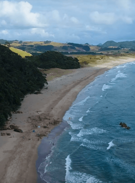 Многогранные красоты северных и южных берегов - туры в Новую Зеландию 4