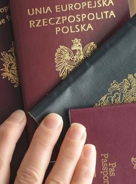Паспорт какой страны лучше иметь путешественнику в 2020-м году 1