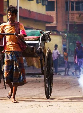 Тук-тук, гусеница с лапками, корова —разные средства передвижения в Индии 10