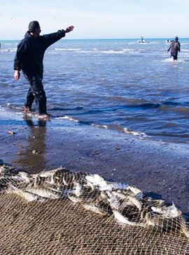 Рыбалка в Каспийском море