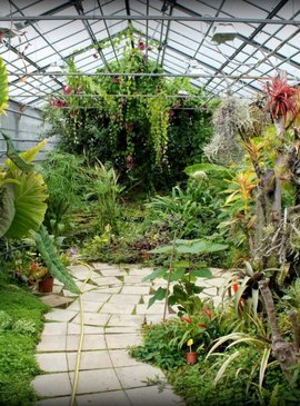 Ботанический сад Нижний Новгород