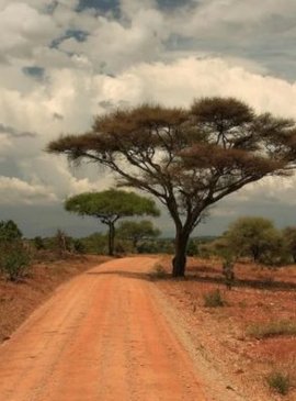 Танзания природа