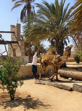 Парк Джерба Эксплор (Djerba Explore) и деревня Наследие 1
