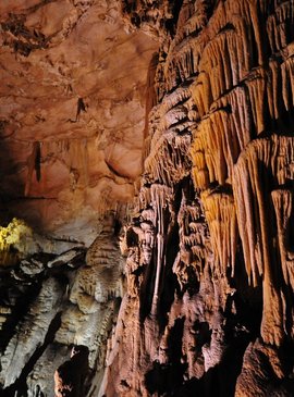 Пещера Эмине-Баир-Хосар мамонт