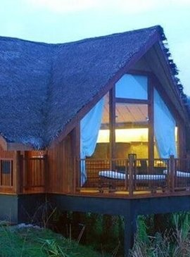 Этот отель-заповедник на Шри – Ланке - рай для любителей дикой природы 1