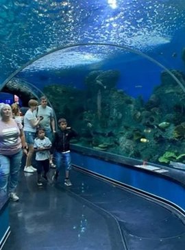 Составлен ТОП-3 гигантских аквариумов России 1
